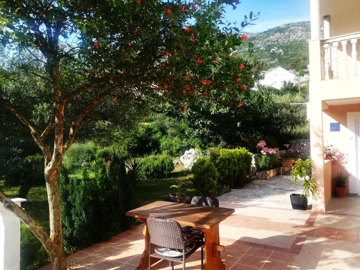 Oliva Cavtat
