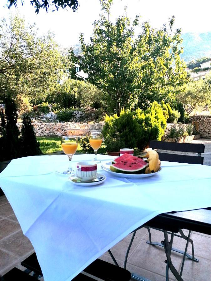 Oliva Apartment