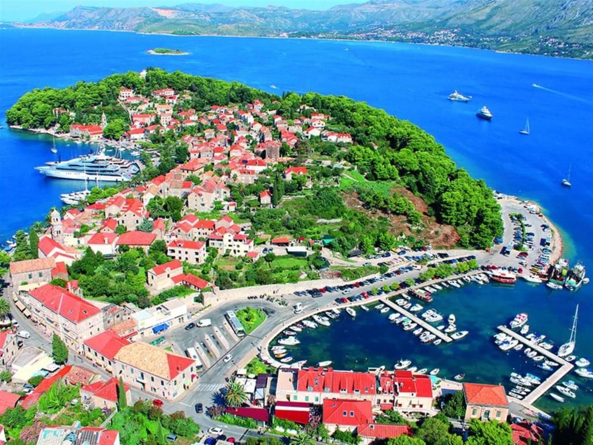 Oliva * Cavtat
